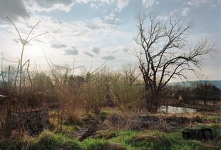 Foundation Remnants, 2009