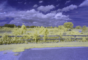 Flaxen Dreams