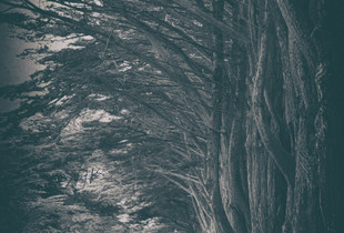 Old Grove Road (Series - 1 of 3)
