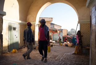 Harar Gate #1