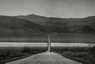 Long Way Home