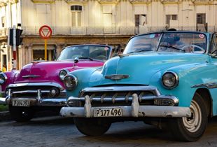 Vintage Beauties