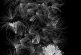 Big Bang