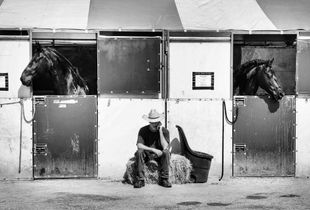 Show Jumpers and Handler