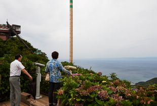 ‘Reclaimed by Nature or Man’ ,The lookout point emerged in hydrangea shrubs of pinks and blue