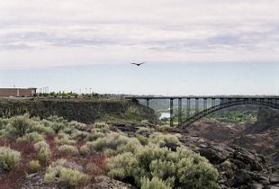 We Sagebrush Folks © Alexis Pike