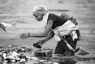 The wash of the fish II