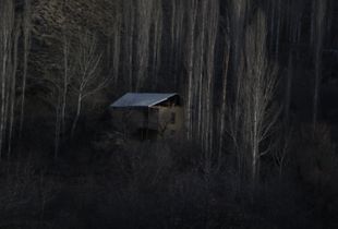 House in the dark