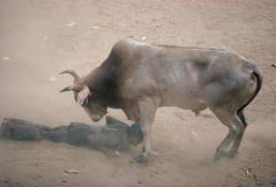 Moment of truth at a January Corraleja © Michael Freeman