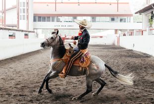 Cala de Caballo