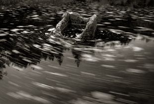 Drifting Pond Weeds