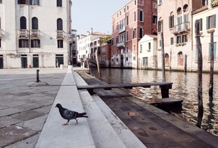 Venice