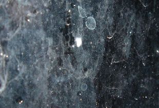 Behind the Glowing Facades 01