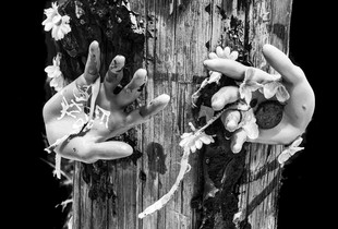 Reaching Out