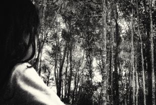 New Nature