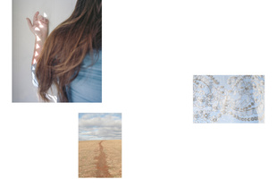 Untitled (light, field, and lace)