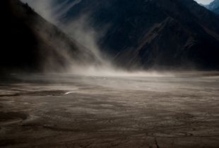 Radical Landscape
