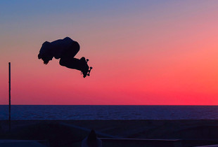 Fly