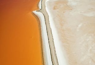 Salt Pond Restoration No. 3