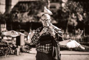 Doves everywhere