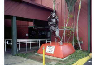 Akebono Taro, Hawaiian Sumo Champion
