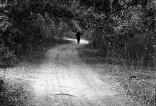 Back to Old Dixie