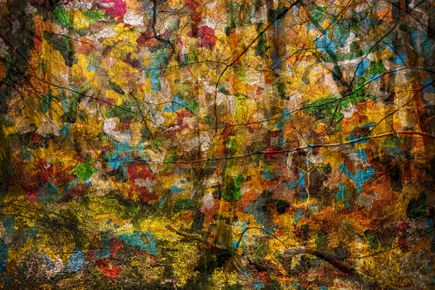 untitled #1