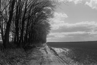 The Field Road just after the Rain.