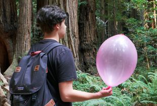 If you go down to the woods today