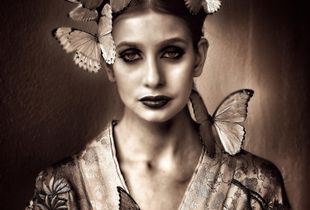 Butterflies