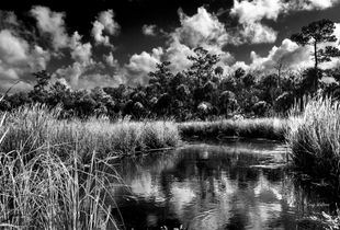 Barnett Creek