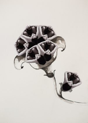Flower1