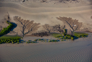 River Estuary - East Aligator River, Kakadu, Northern Territory, Australia