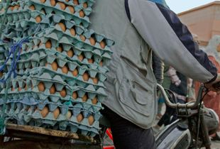 Food delivery (Marrakech)