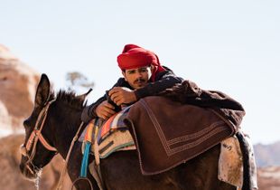A flip phone and a donkey