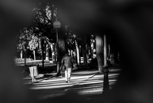 PASEO POR EL PARQUE