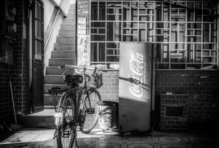 Bicycle 1