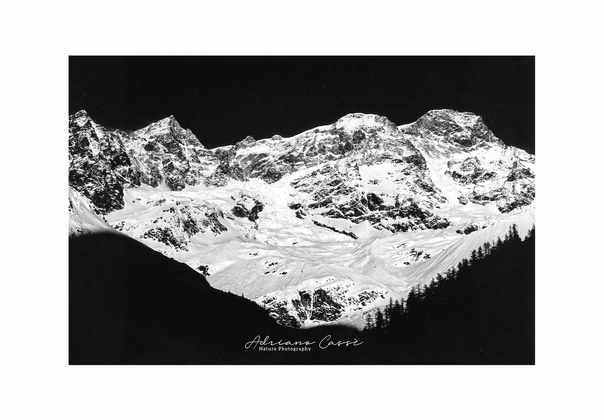 Monte Rosa