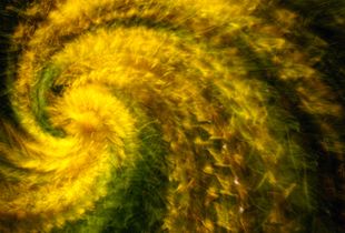 Yellow Spiral