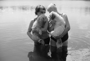 Ladies and dogs 1