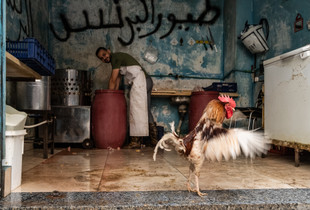 Princes Chicken