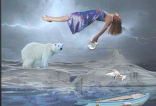 Arctic Dream