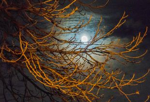 air03 - Winter Moon