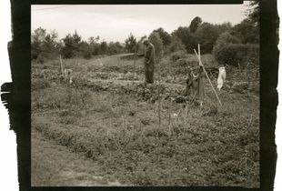 Inheritance: Myer's Garden