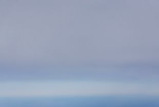 Flight