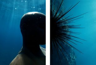 Transformations 1