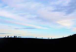 Sunrise Silhouettes