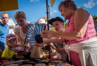 Selecting a Fan