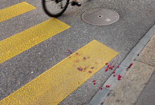 Vegan roadkill
