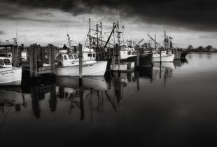 dock on the bay